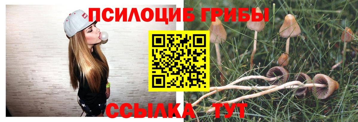 Псилоцибиновые грибы прущие грибы  Псилоцибиновые грибы Psilocybine cubensis  Дмитров  Вход с VPN 